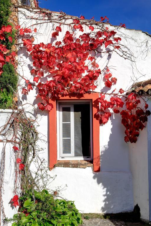 Cortijo La Hoya Guest House El Bujeo Exterior photo